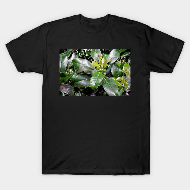 Holly Leaves T-Shirt by Colin-Bentham